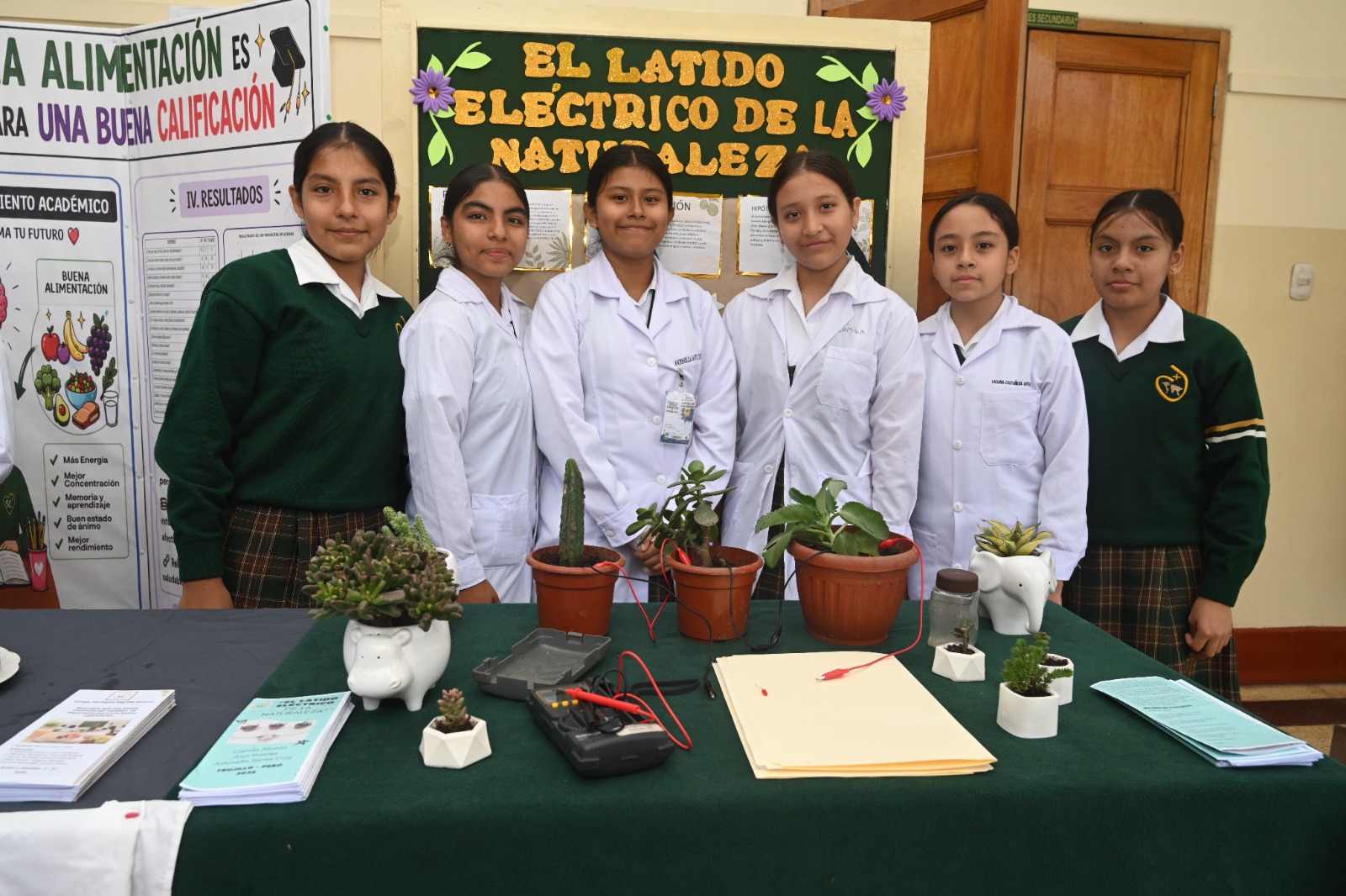 Experimento de energía con plantas